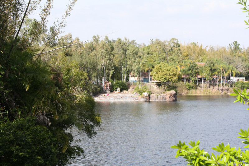 1211135702_5ddsz-L.jpg