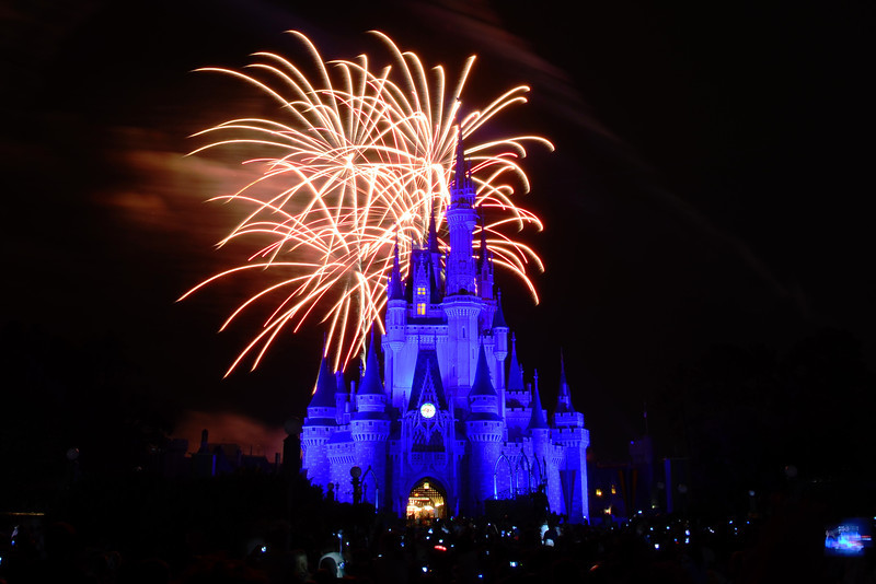DSC7278-L.jpg