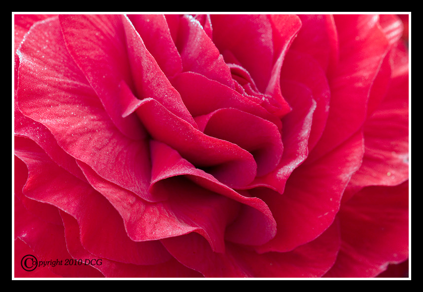909203886_maGS4-X2.jpg
