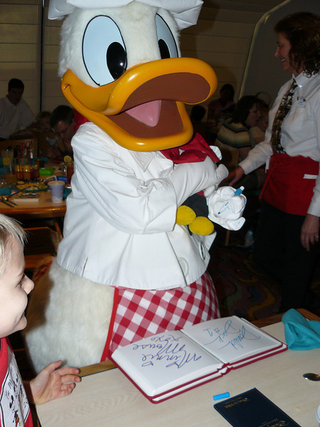 244443624_rgFBD-L-1.jpg