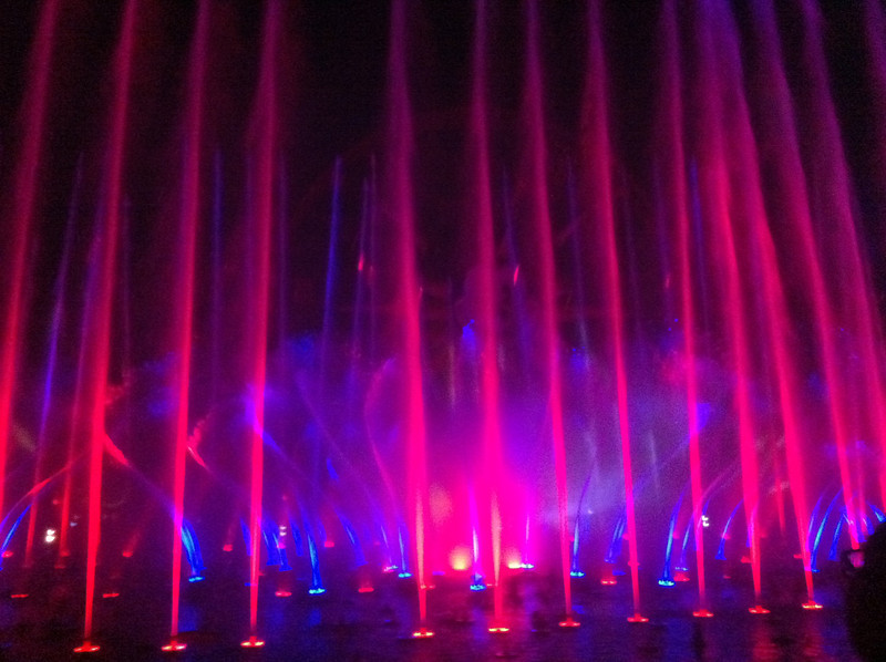 IMG4925-L.jpg