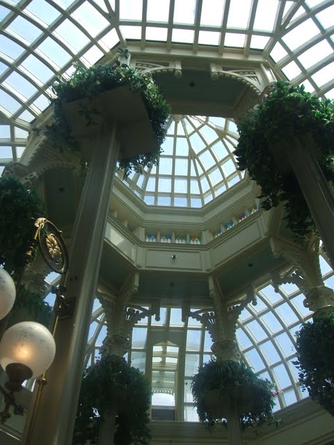 DSCF5563.JPG