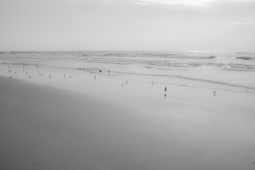 DSC01045-XL.jpg
