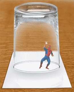 spidey.gif