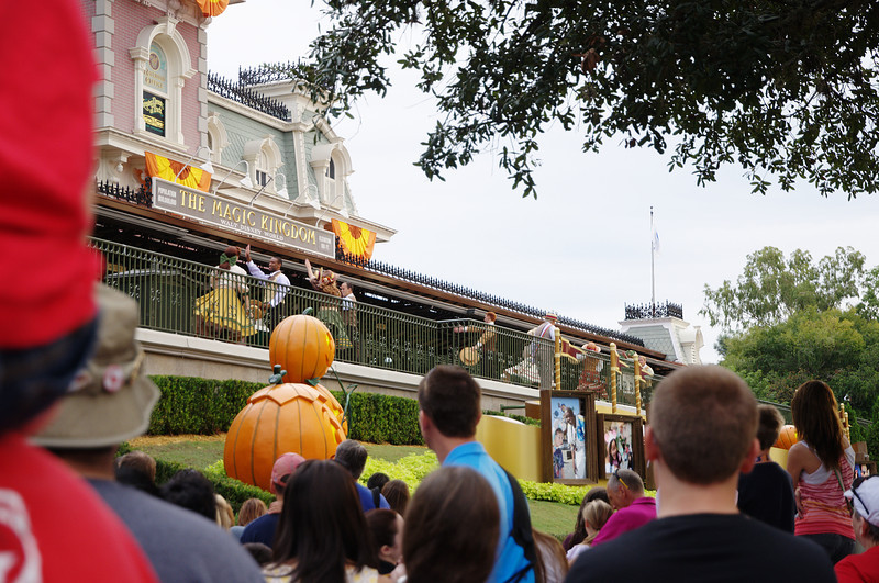 DSC_6955-L.jpg