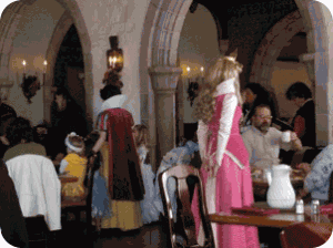 akershus-princesses-300x224.png