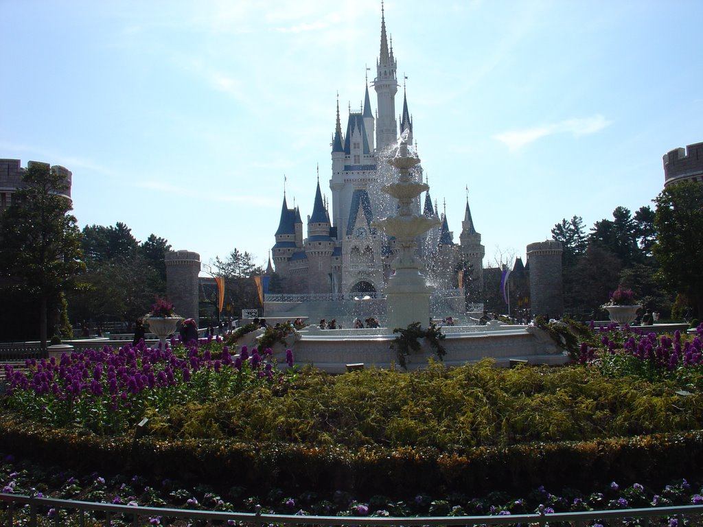 DSC01887.jpg