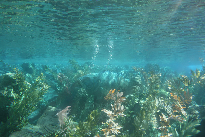 IMG9242-L.jpg