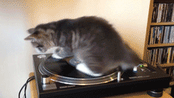 xu1InPrvDb6a4.gif