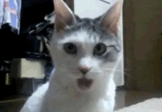 tumblr_llzx3yuChA1qiqv2o.gif