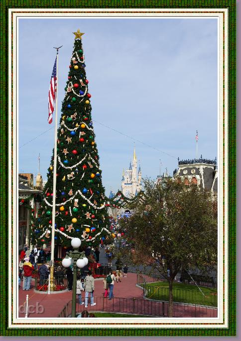 IMG_8985.JPG