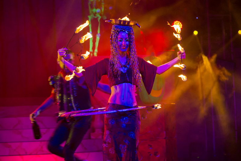DSC_9305-L.jpg