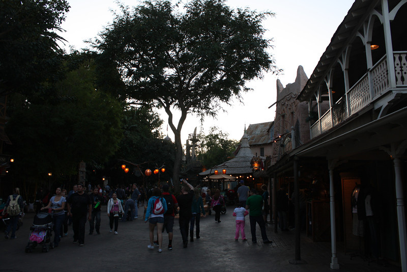 IMG9472-L.jpg