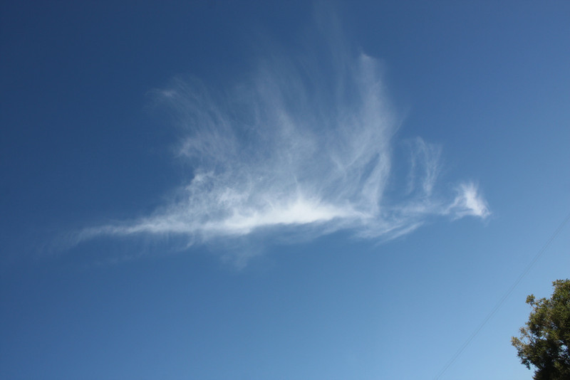 IMG9163-L.jpg