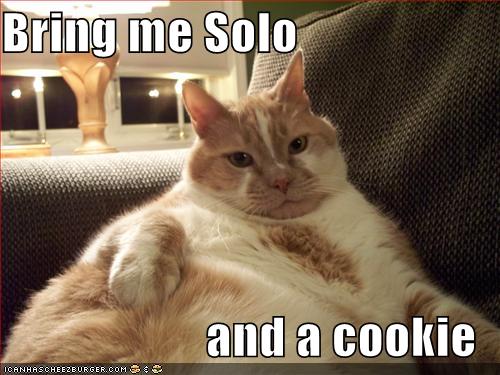 jaba-the-cat.jpg