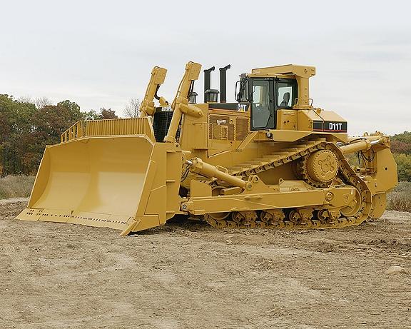 d11T2.jpg