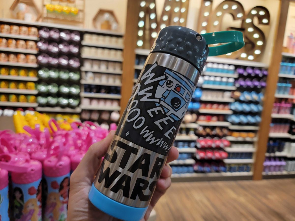 Disneyland bottles oct 2022 101839