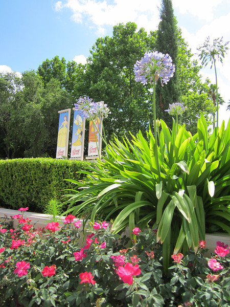 IMG0445-L.jpg