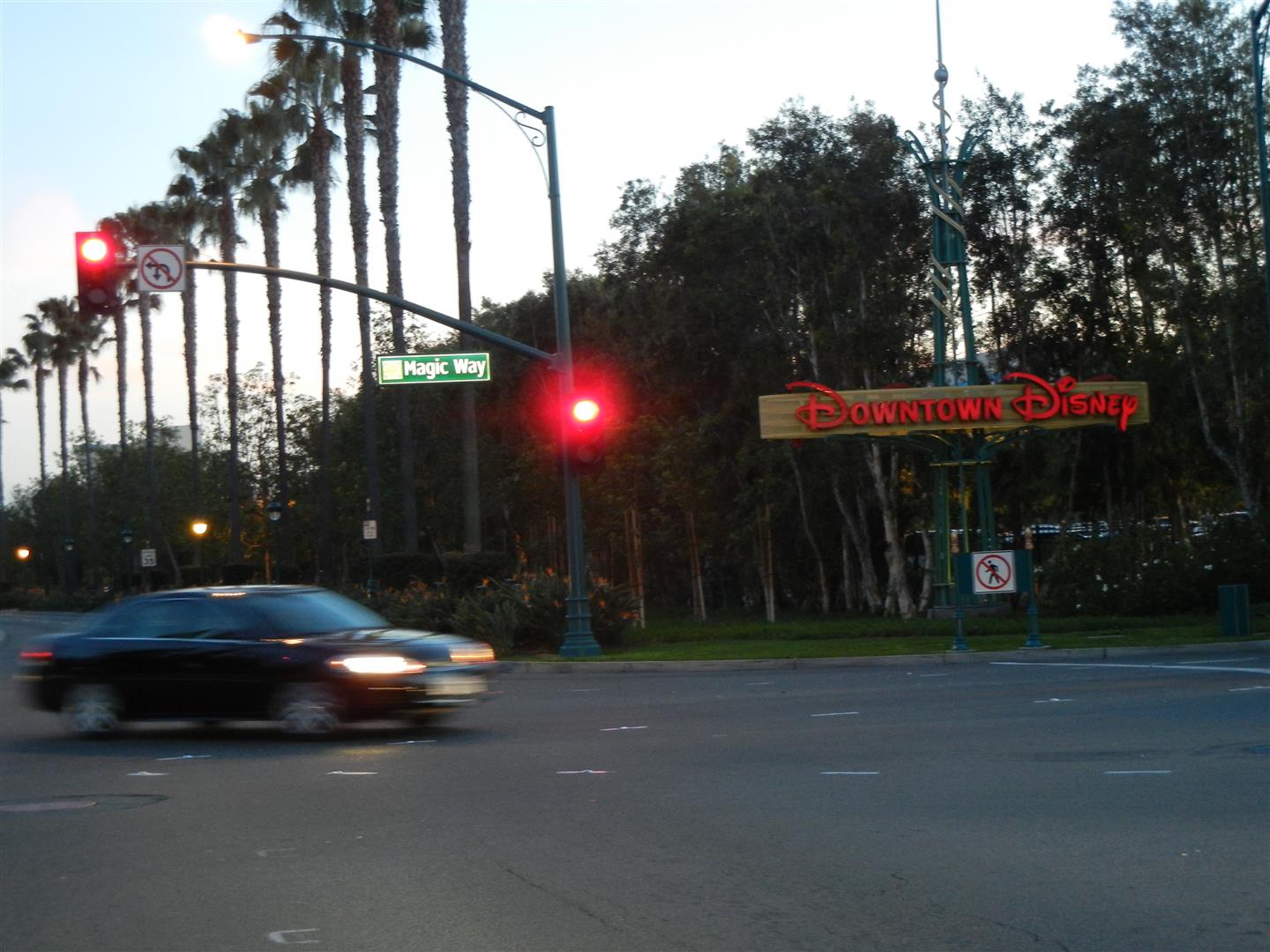 DSCN2940%20(Large).JPG