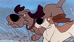 tumblr_n8y11gwlBT1rg6i70o7_r1_250.gif