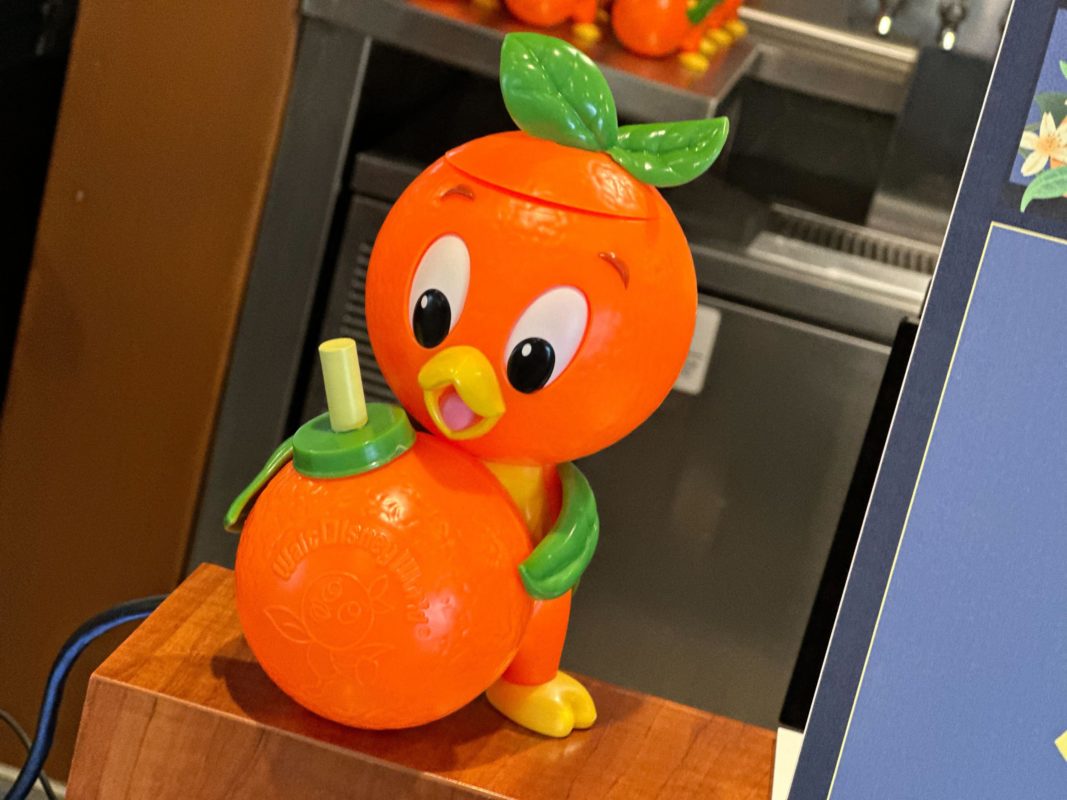 orange bird sipper 2023 2564