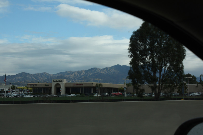 IMG_1160-L.jpg