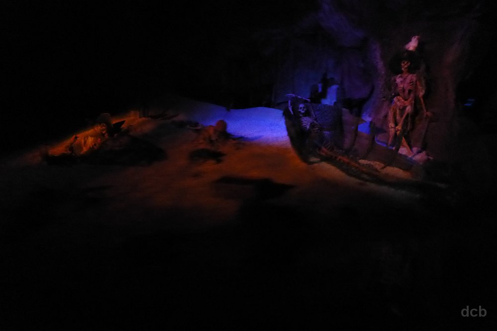P1000050.JPG
