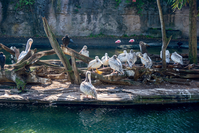 DSC_7894-L.jpg