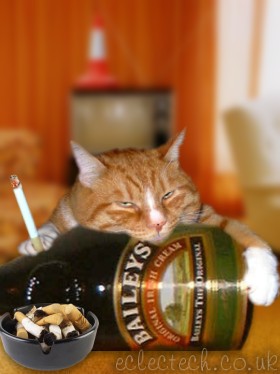 catdrunk.jpg