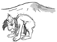 00-01_tiddles_scratching.gif