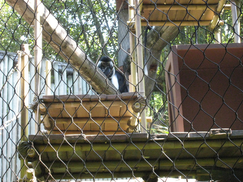 322093437_qSmqX-L.jpg