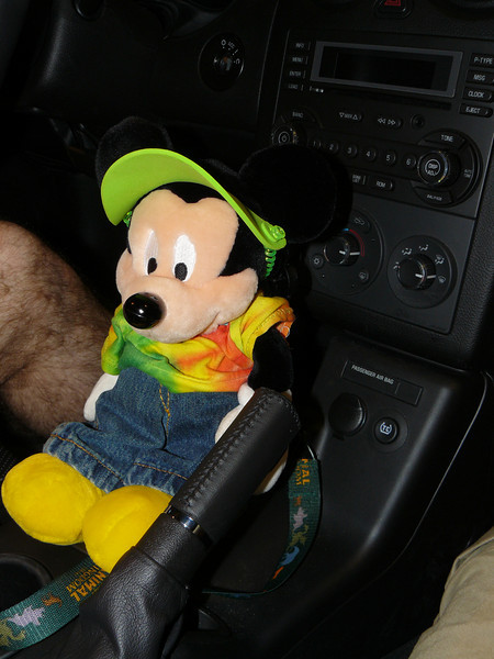 244445853_cbwY9-L-1.jpg