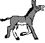 Donkey_walks.gif