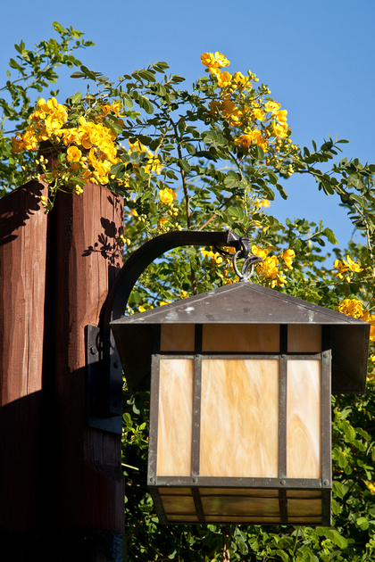 p970726210-4.jpg