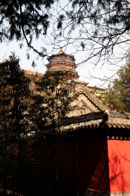 china1.jpg