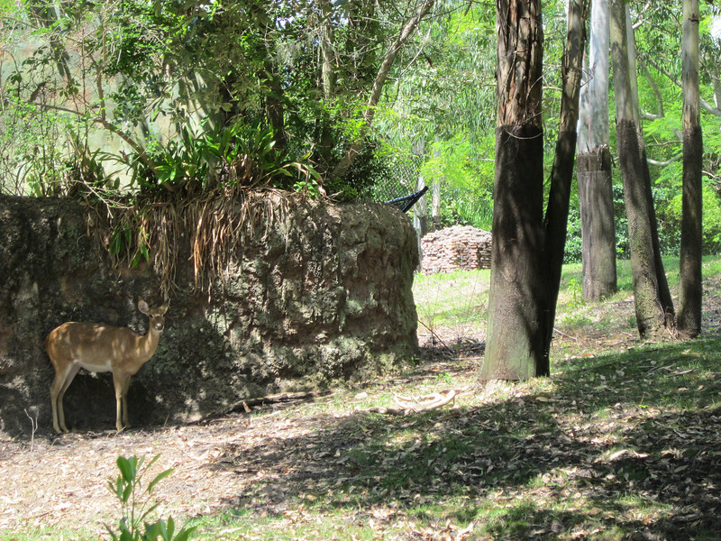 IMG0170-L.jpg