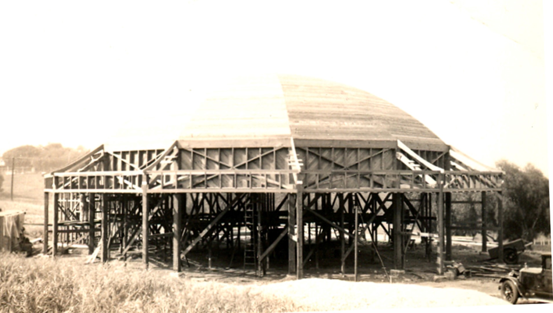 Griffith_Carousel_Vintage_2%20(Large).jpg