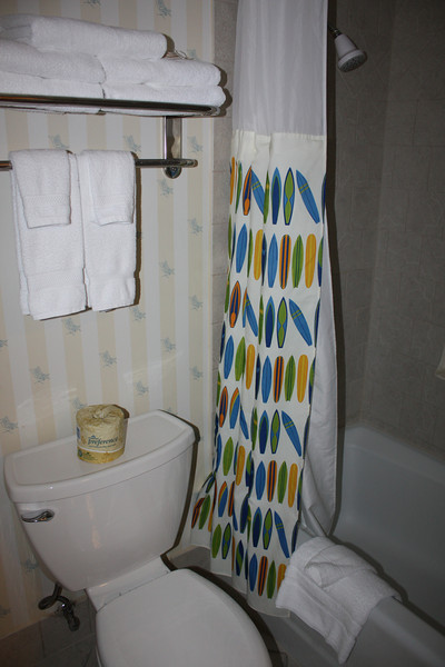 IMG9024-L.jpg