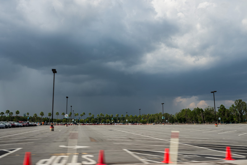 DSC_8975-L.jpg
