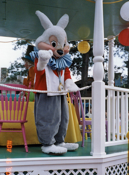 1094044583_WeNE9-L.jpg