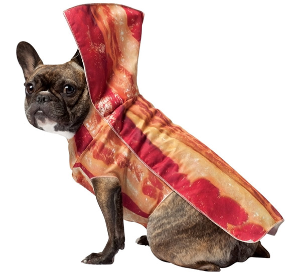 bacon-dog-costume.jpg