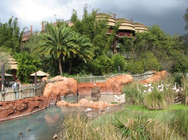 animalkingdomlodge060.jpg