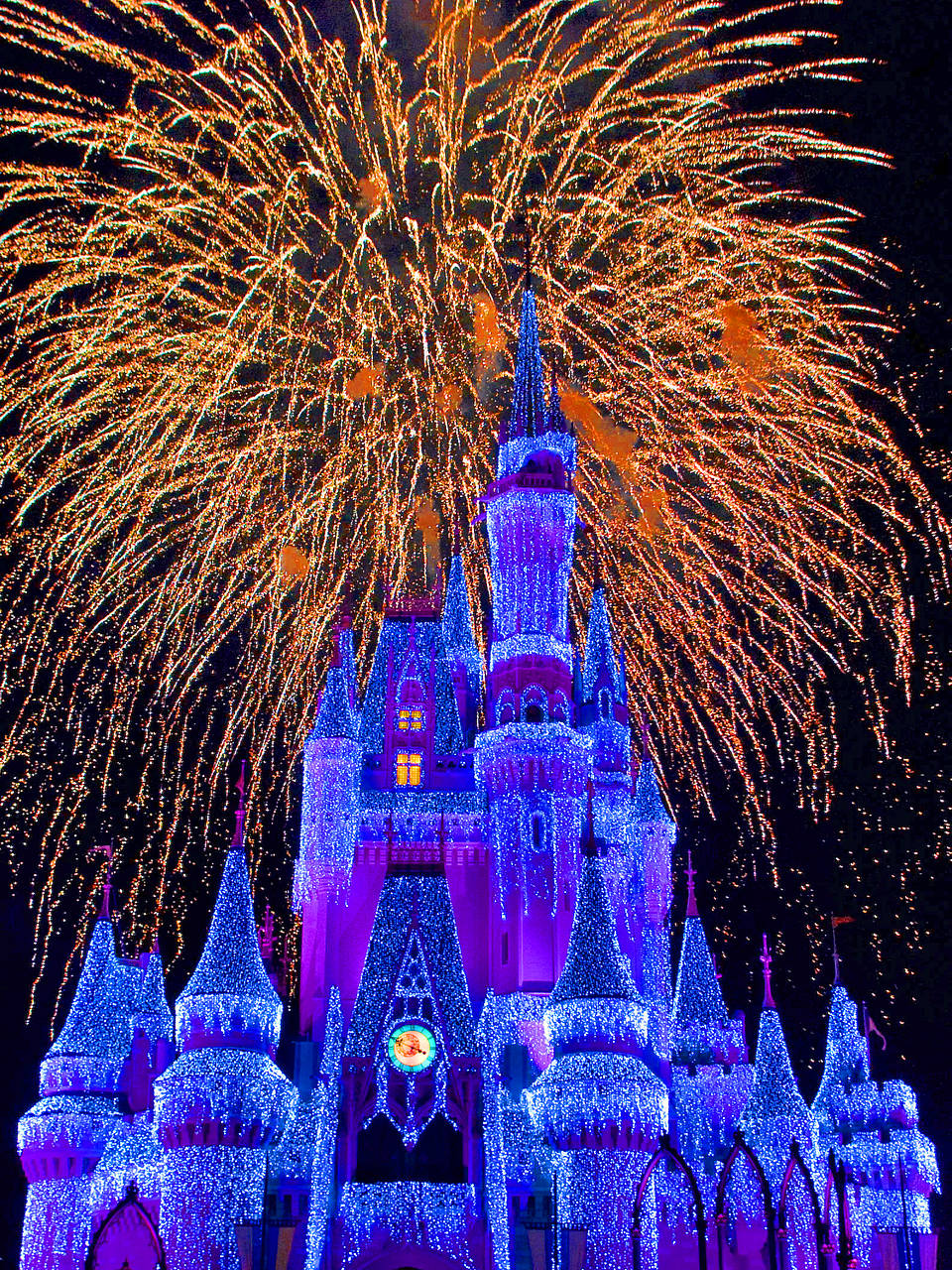 walt-disney-world-resort-5.jpg