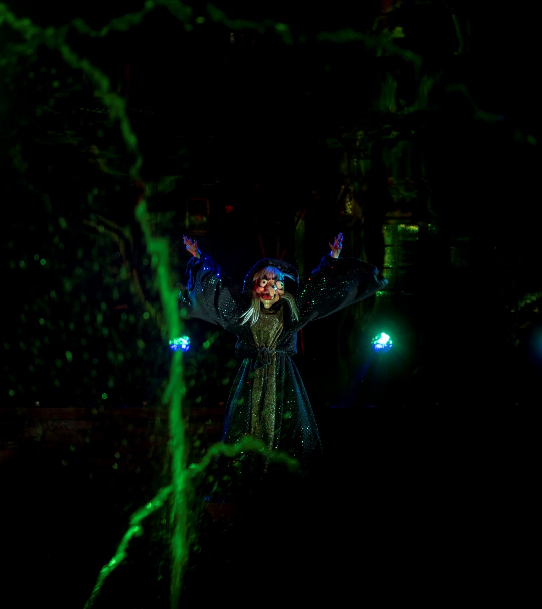 DSC_3996%20(Large).jpg