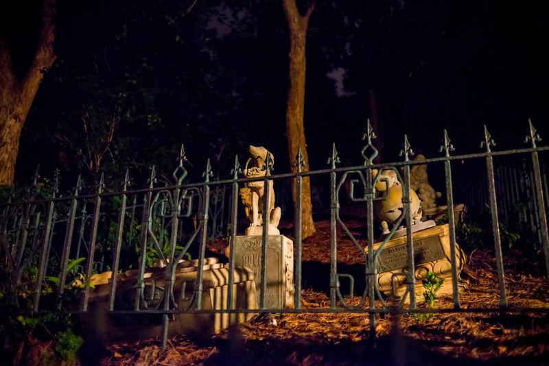 DSC_2545-L.jpg