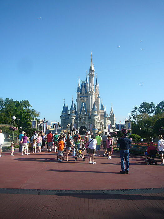4709399802_1fe8524358_b.jpg