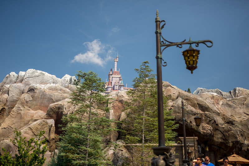 DSC_8767-L.jpg