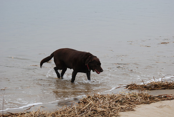 DSC_8686--M.jpg