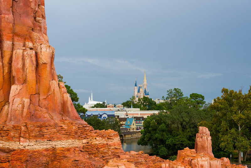DSC_1446-L.jpg