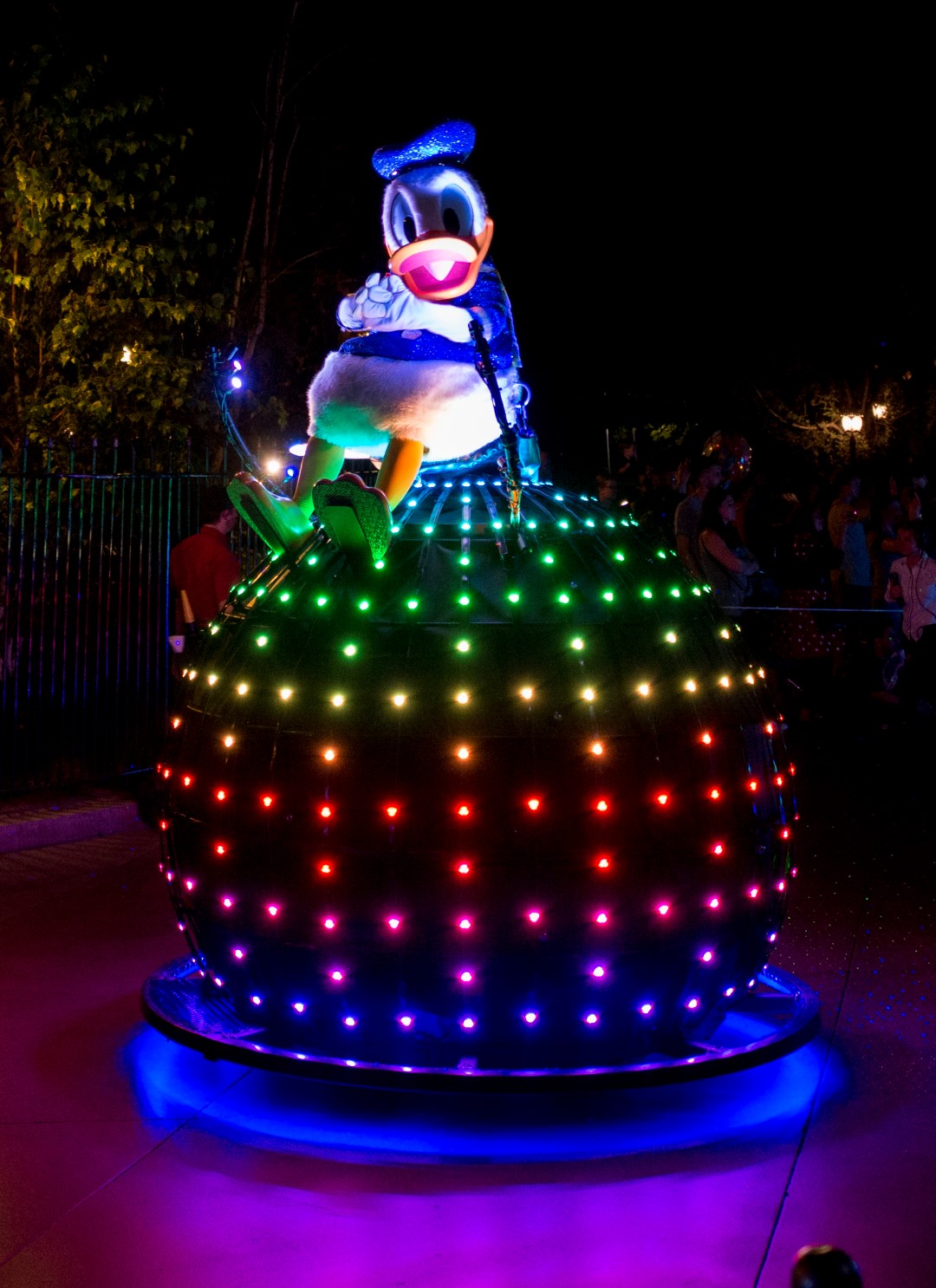DSC_4622%20(Large).jpg